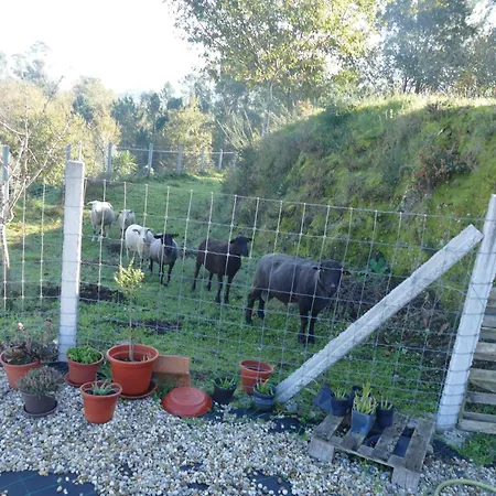 Casa Nos Penedos * Arcos de Valdevez