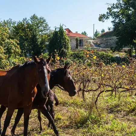 Casa Nos Penedos Arcos de Valdevez