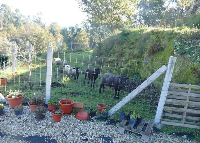 Casa Nos Penedos * Arcos de Valdevez