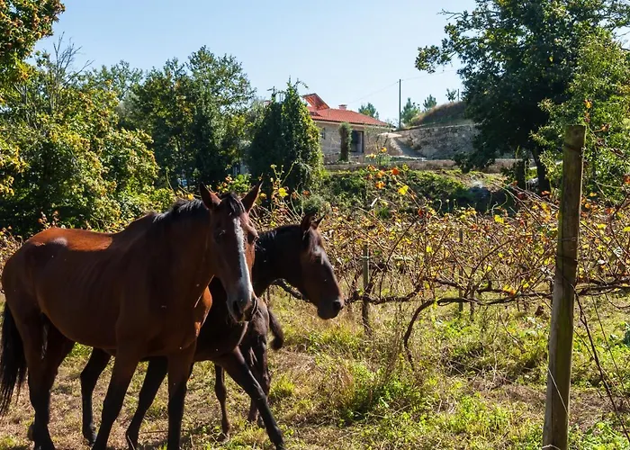 Casa Nos Penedos Arcos de Valdevez